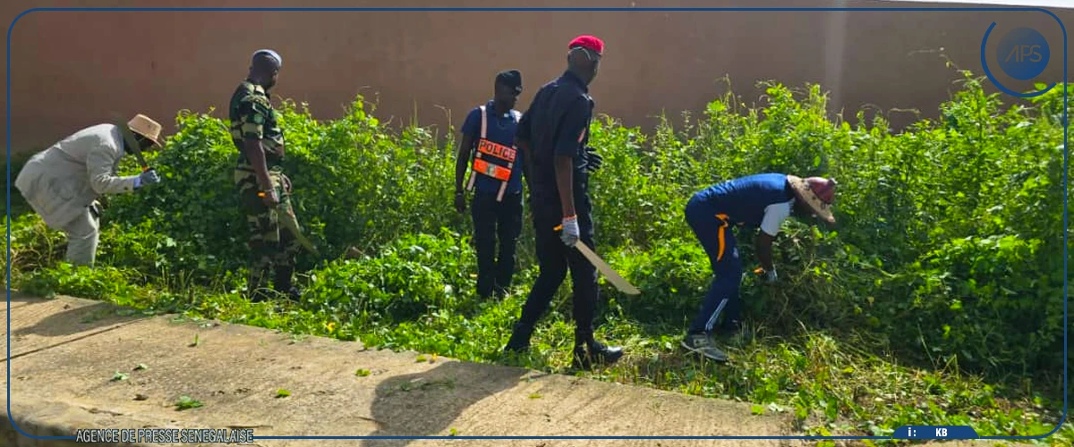 Thiès : l’armée et la police se joignent au désherbage de l'espace universitaire