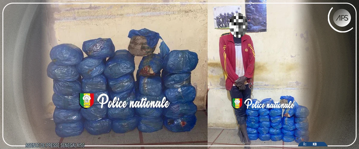 Saisie de 29 kg de chanvre indien à Kaolack