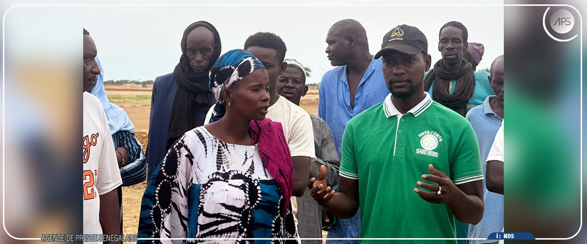 La culture de l'oignon, une filière pour l'autonomisation des femmes dans le Podor