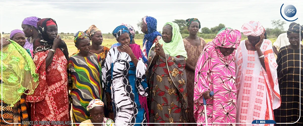 La culture de l’oignon, une filière pour l’autonomisation des femmes dans le Podor