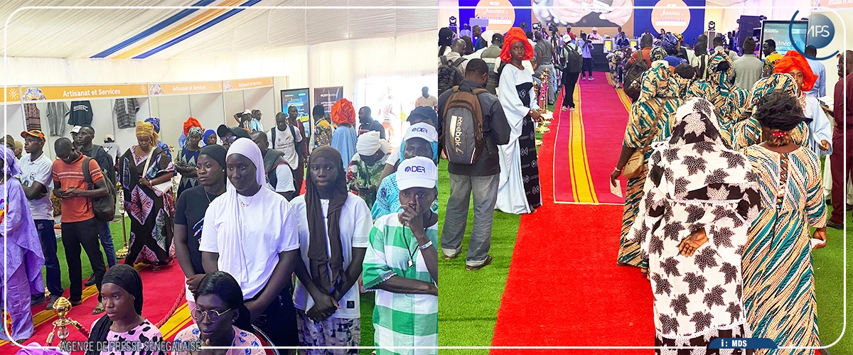 Ziguinchor : la DER/FJ célèbre l’entrepreneuriat dans la zone Sud