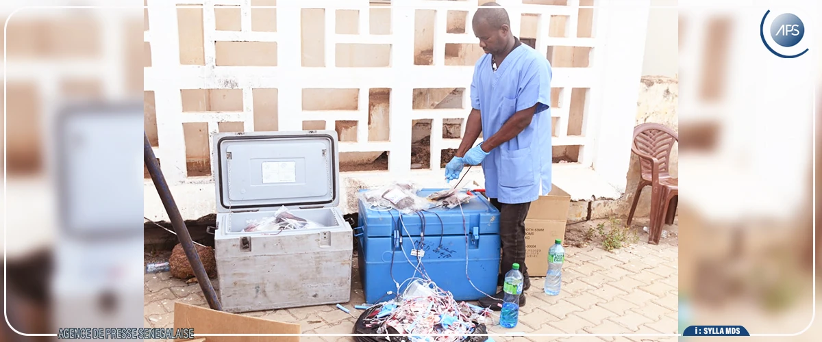 Tambacounda : la banque de sang de l’hôpital régional confrontée à des ‘’situations fluctuantes’’ (directeur)