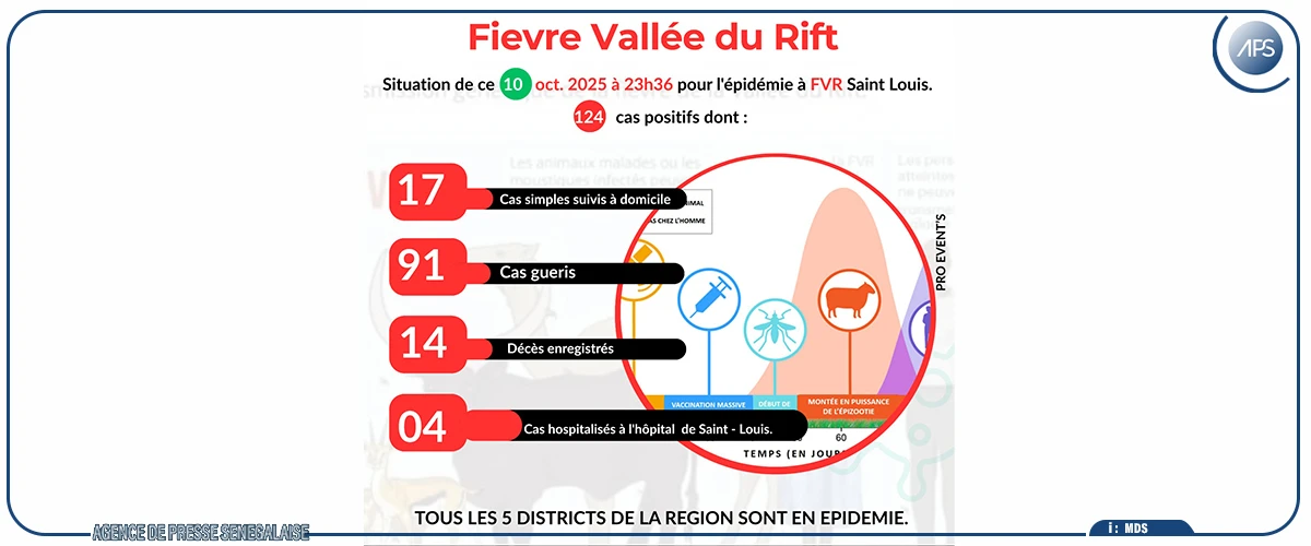 Fièvre de la vallée du Rift : 15 décès enregistrés sur 138 cas confirmés à Saint-Louis