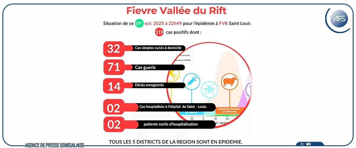Saint-Louis : 14 décès enregistrés sur 119 cas de la fièvre de la vallée du Rift