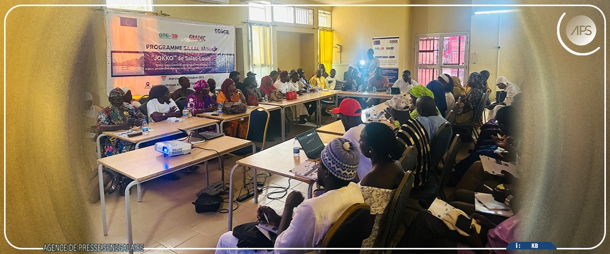 Saint-Louis : les enjeux gaziers et la médiation sociale au menu d'un atelier