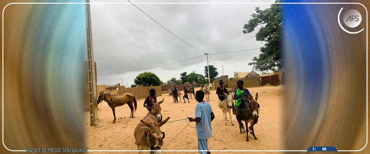 Louga : une mobilisation sociale pour améliorer le bien-être des équidés