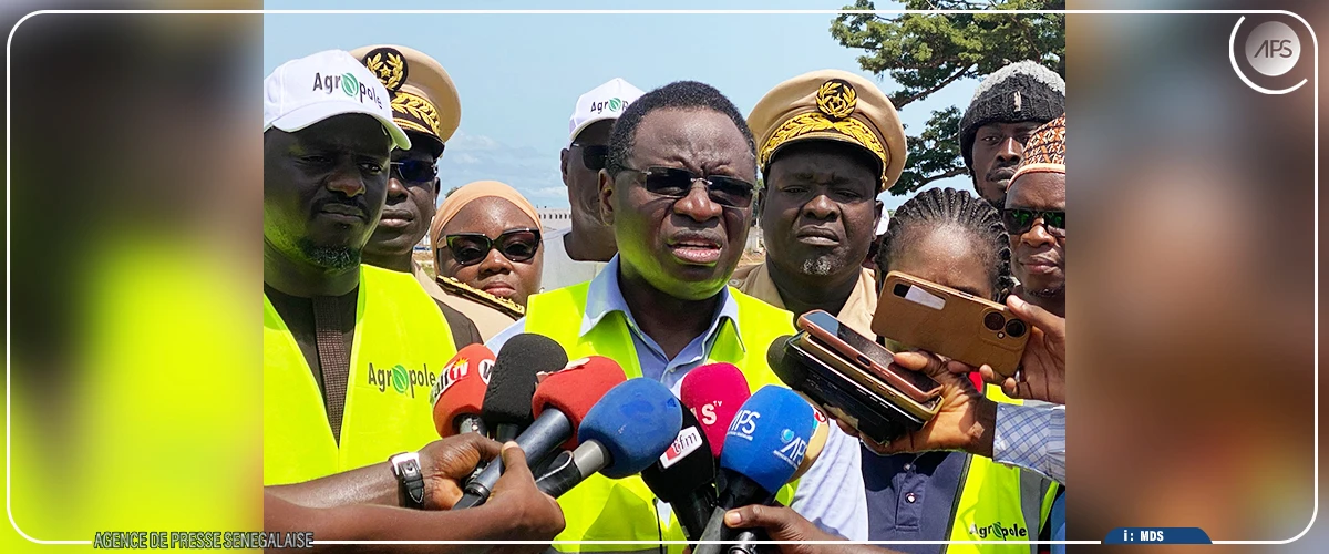 Ziguinchor : les travaux de l’Agropole Sud achevés à près de 85 % (ministre)