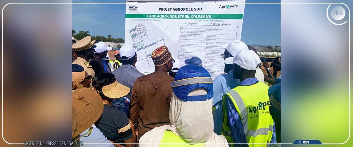 Ziguinchor : les travaux de l’Agropole Sud achevés à près de 85 % (ministre)
