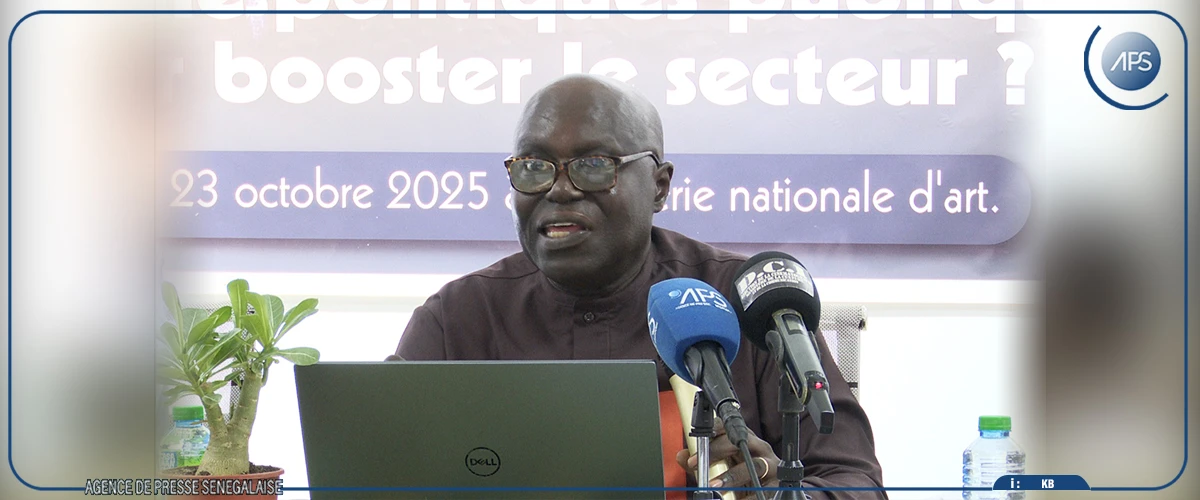 Hugues Diaz plaide pour de nouvelles politiques en faveur des arts visuels