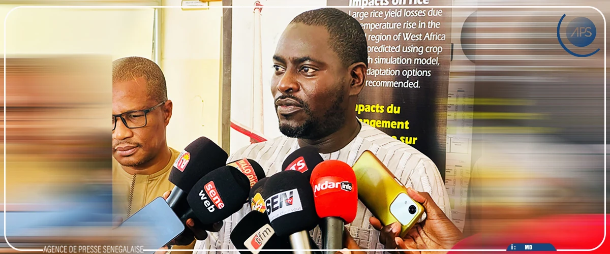 Saint-Louis : l’État souhaite faire de la Vallée du fleuve Sénégal ”le cœur technologique du riz” (officiel)