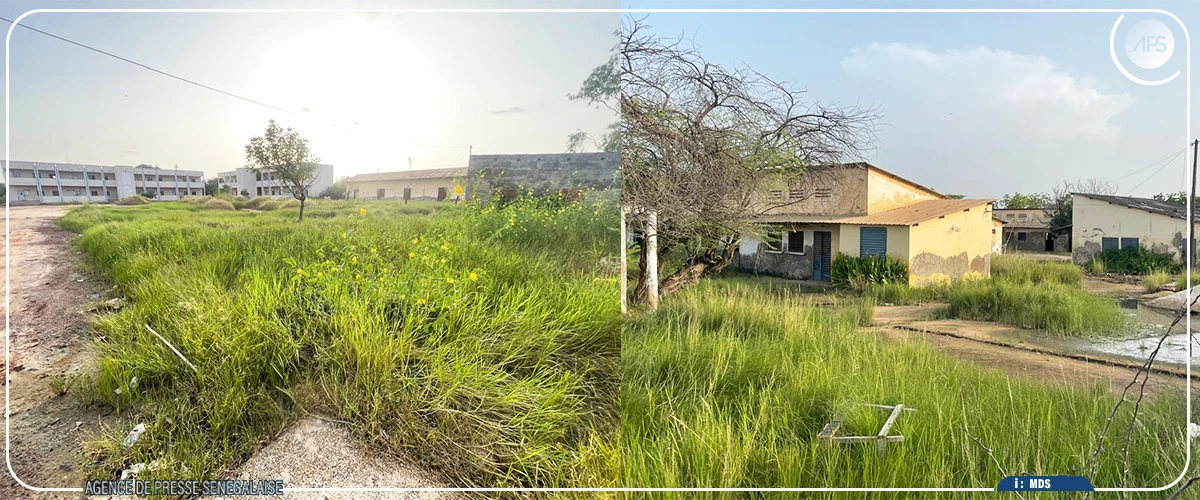 Kaolack : la mairie lance une opération coup de poing pour rendre effectif le concept ‘’Oubi tey diang tey’’