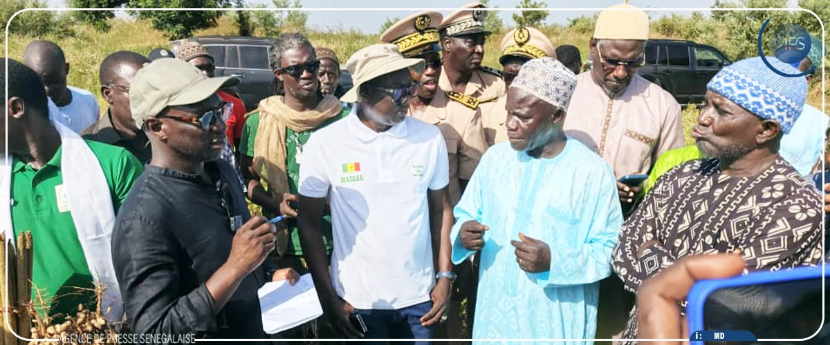 Mabouba Diagne évoque "l’importance stratégique'' de la maîtrise de l’eau pour développer l'agriculture