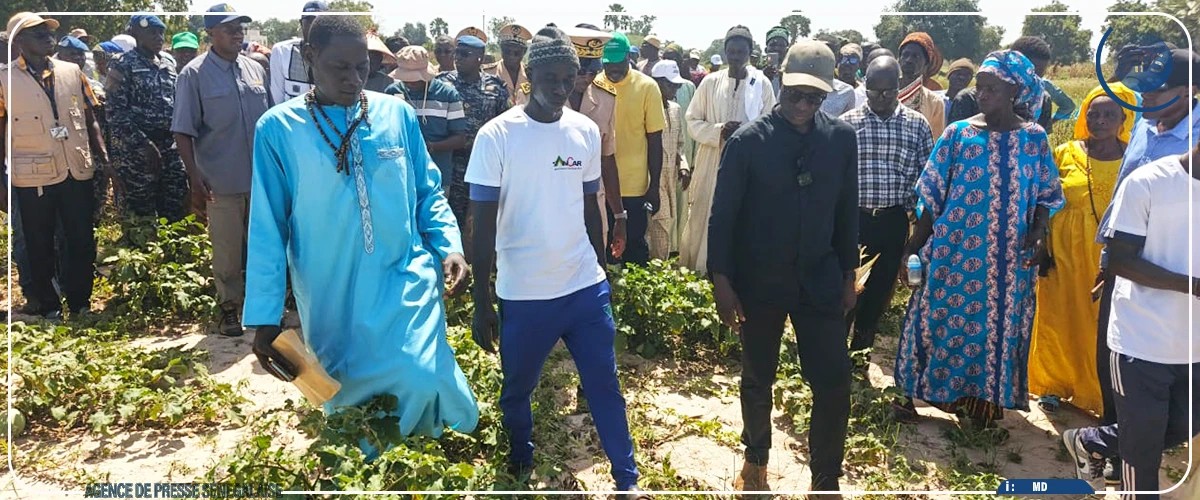 Mabouba Diagne évoque “l’importance stratégique” de la maîtrise de l’eau pour développer l’agriculture