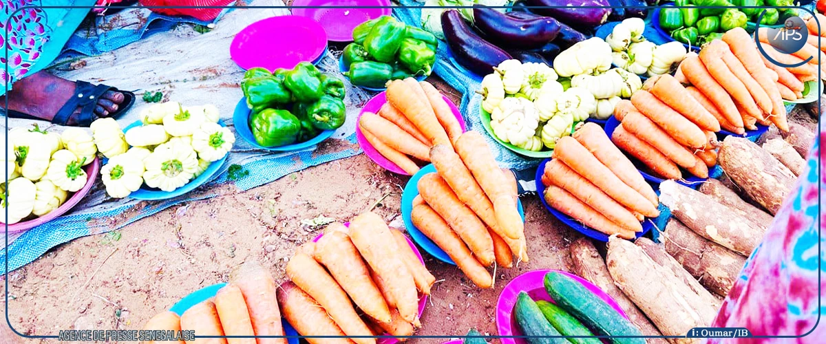 Le petit commerce de légumes, un souffle de proximité dans les quartiers de Diourbel