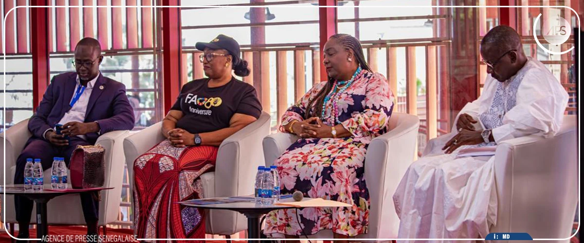 Les aliments locaux, “clé d’un avenir souverain”, selon le représentant-résident des Nations unies