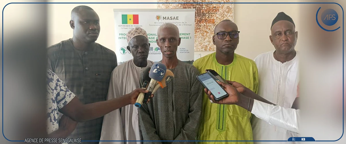 Kaffrine : un projet prévoit la création de périmètres fourragers et d’un centre de production bovine