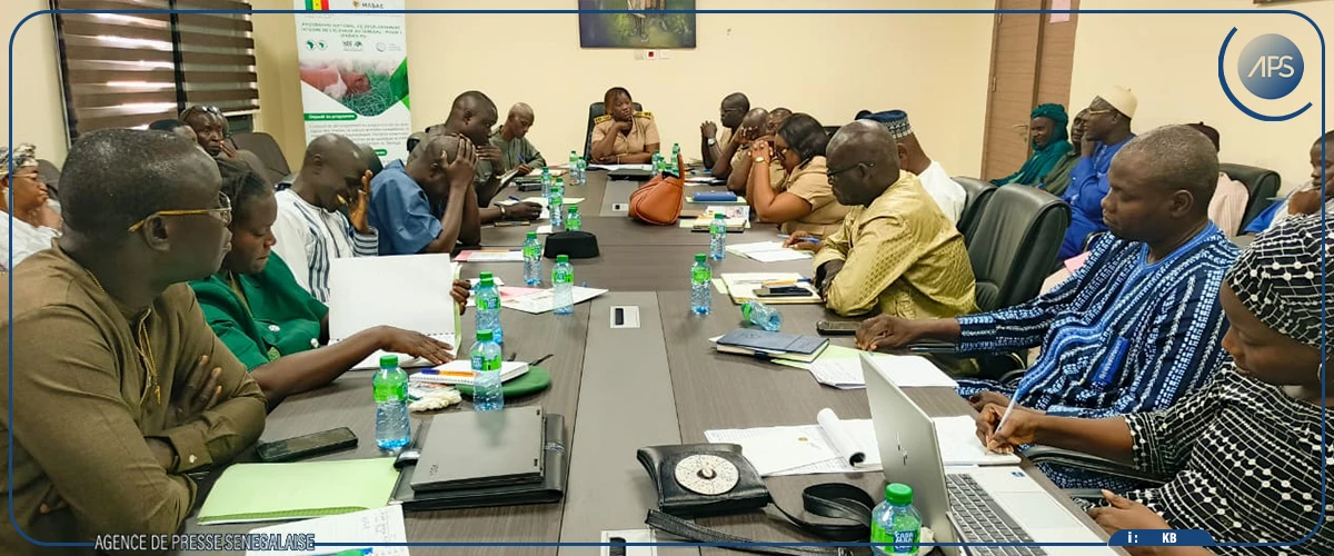 Kaffrine : un projet prévoit la création de périmètres fourragers et d'un centre de production bovine