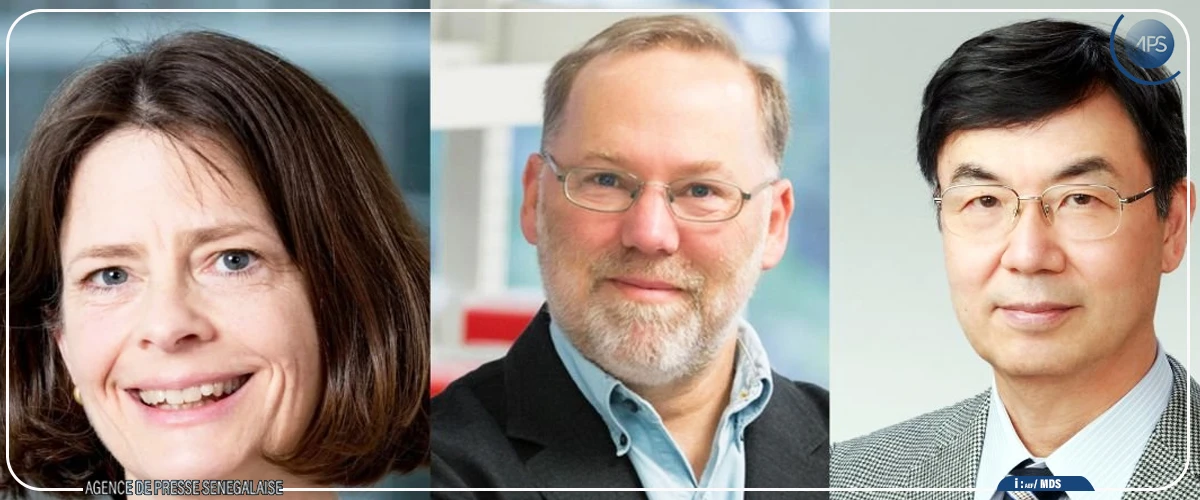 Nobel médecine 2025 : un trio de chercheurs sur le système immunitaire récompensé