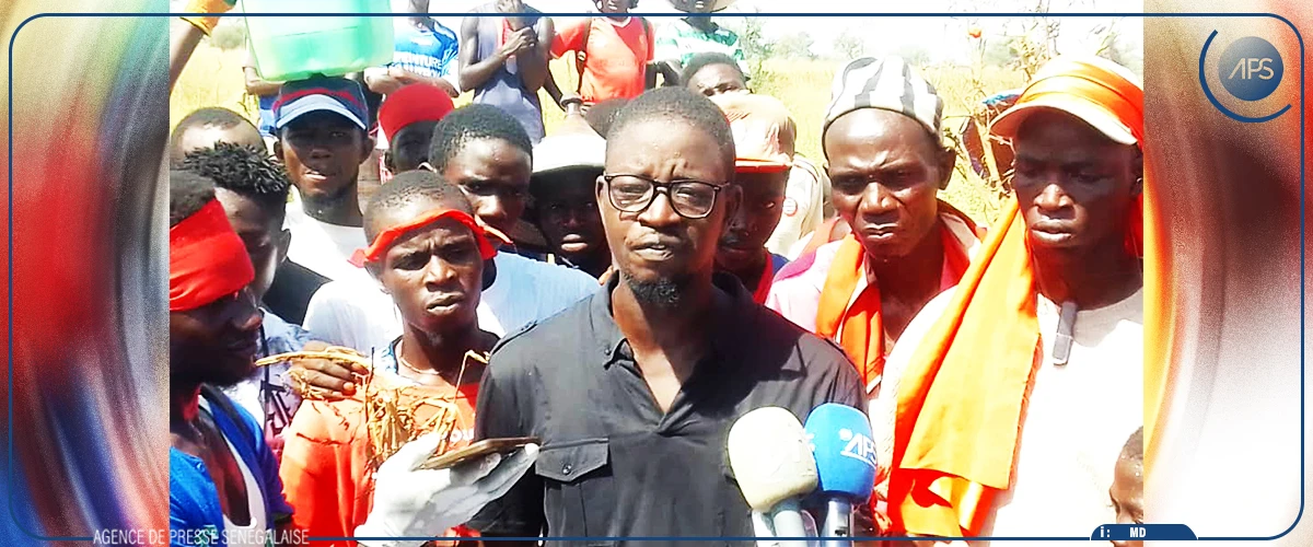 Mbacké : des horticulteurs de Sadio craignent pour leurs activités en raison d’une pénurie d’eau