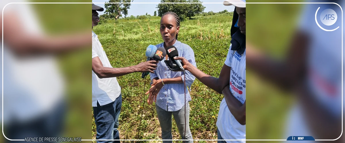 Keur Mboucki : des centaines de femmes formées à l’agroécologie et à l’utilisation des engrais organiques