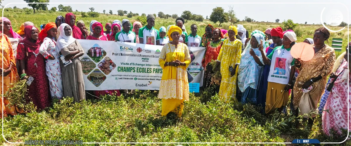 Keur Mboucki : des centaines de femmes formées à l’agroécologie et à l’utilisation des engrais organiques