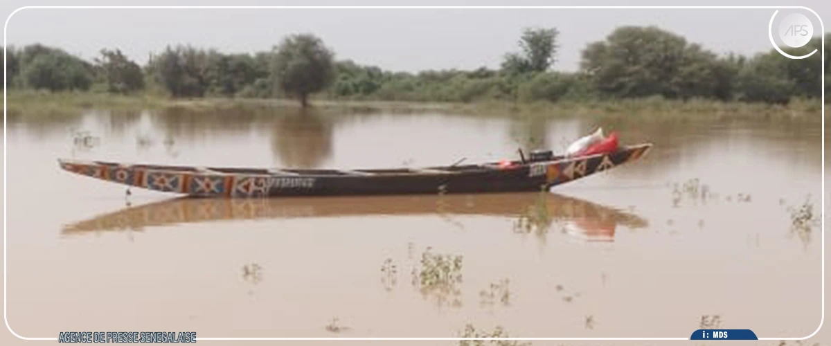La pirogue, le seul moyen de transport à Tiguéré, un village isolé par la crue du fleuve Sénégal