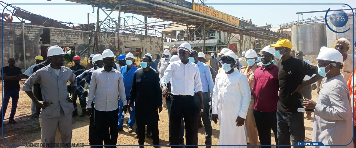 Kaolack : Serigne Guèye Diop annonce un plan d'urgence pour la SONACOS de Lyndiane