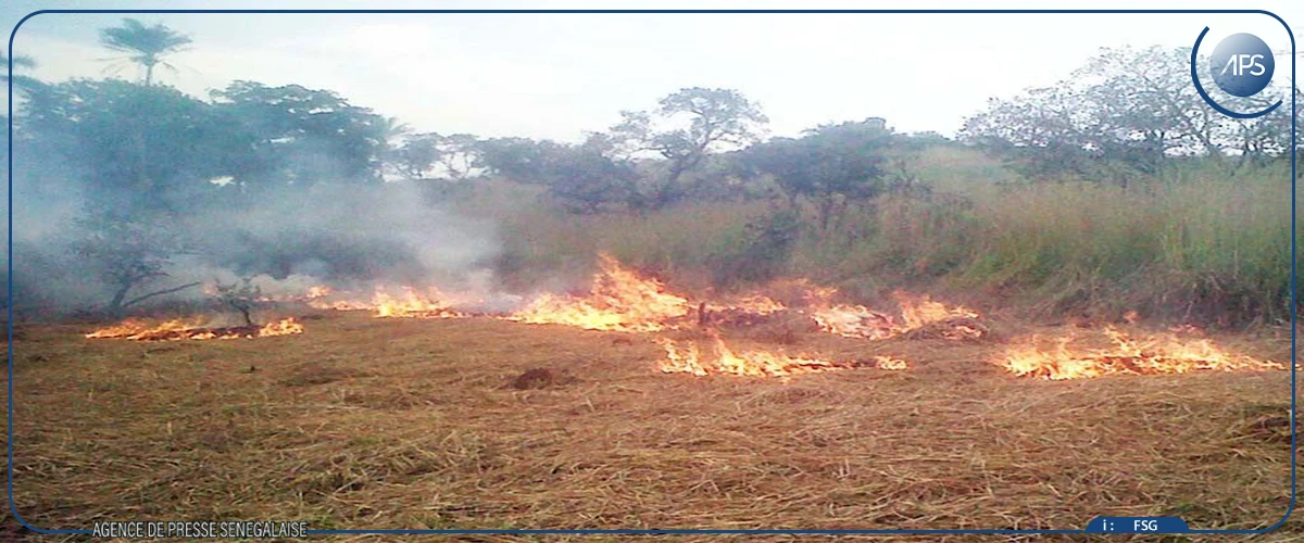 Plusieurs villages des communes de Ndiayène Pendao et Gamadji Saaré touchés par un feu de brousse (sous-préfet)