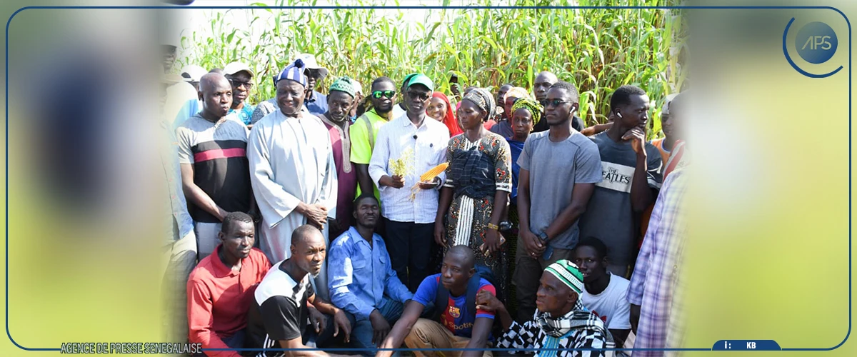 Mabouba Diagne préconise la création d’un pôle agro-industriel à Kédougou