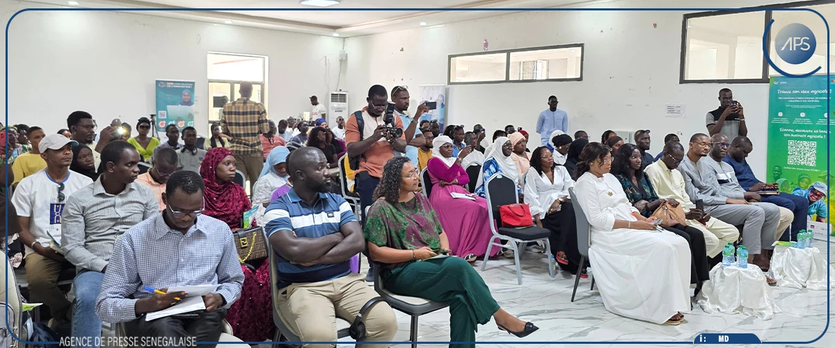 Le projet YEAH lancé à Thiès pour soutenir l’entrepreneuriat agricole