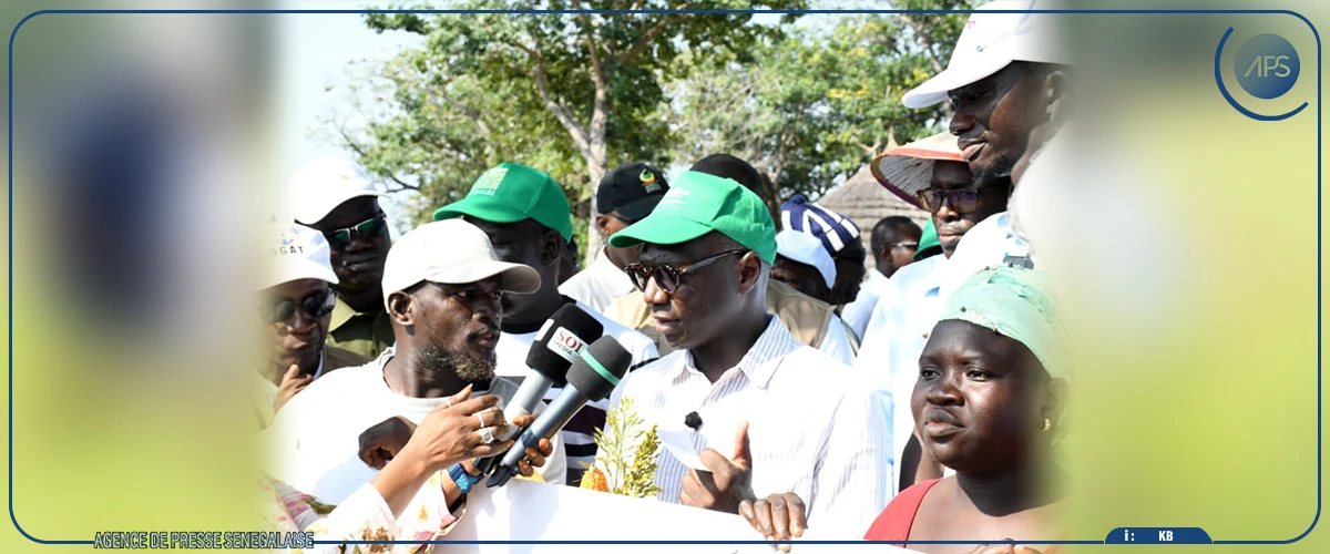 Mabouba Diagne préconise la création d’un pôle agro-industriel à Kédougou