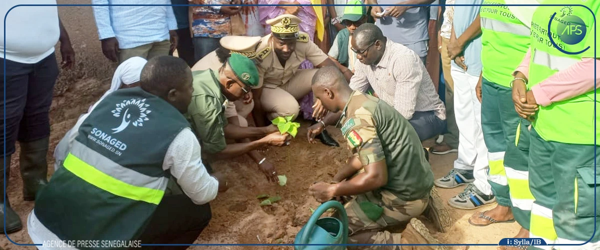 Tambacounda : des agents de l’Etat reboisent cinq établissements scolaires