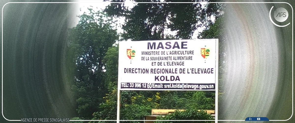 Fièvre de la vallée du rift : aucun cas enregistré à Kolda (directeur régional de l'élevage)