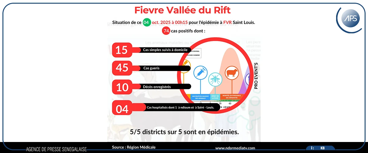 Fièvre de la vallée du Rift : 74 cas positifs à Saint-Louis pour 10 décès