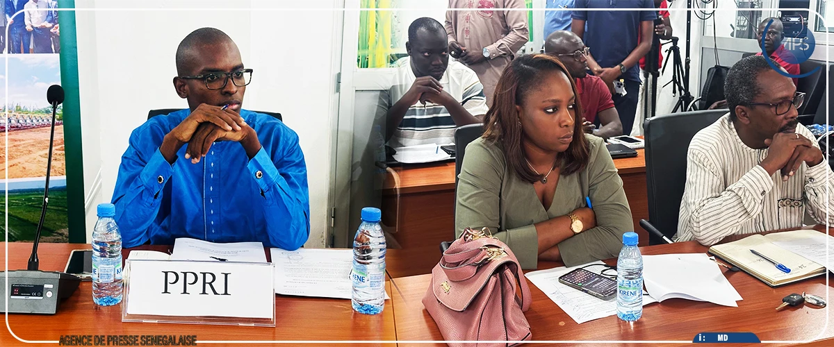 Saint-Louis : l’État souhaite faire de la Vallée du fleuve Sénégal ''le cœur technologique du riz'' (officiel)