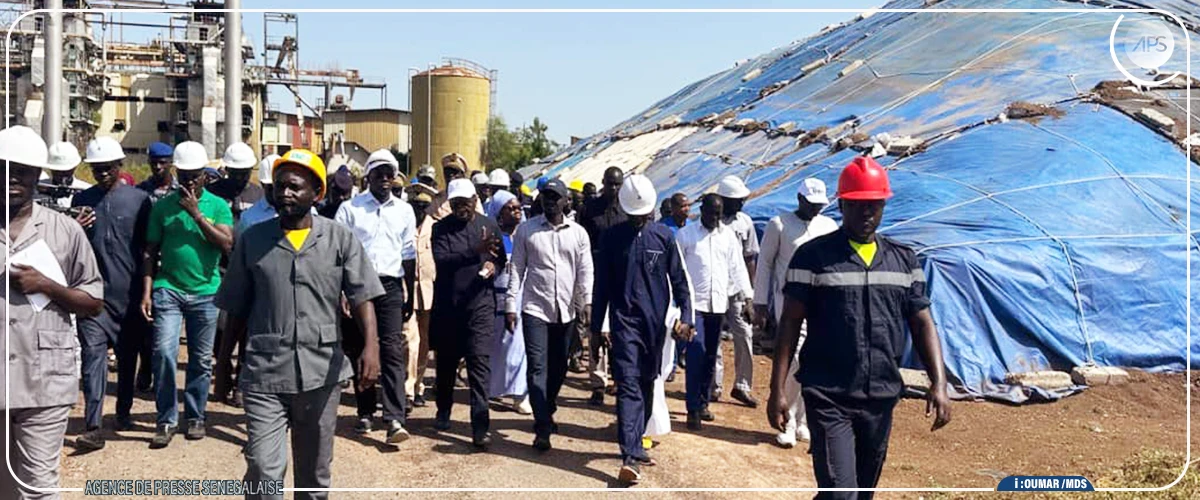 Serigne Guèye Diop prône le renouveau industriel de la SONACOS avec une production diversifiée