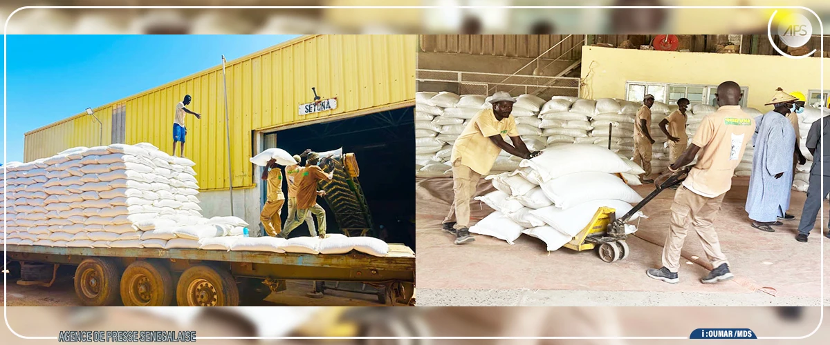 Serigne Guèye Diop prône le renouveau industriel de la SONACOS avec une production diversifiée