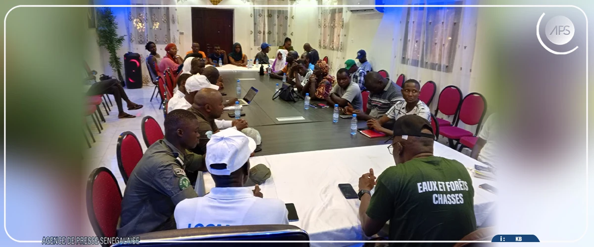 Matam : un million d'hectares de terres dégradées dans la région (IREF)