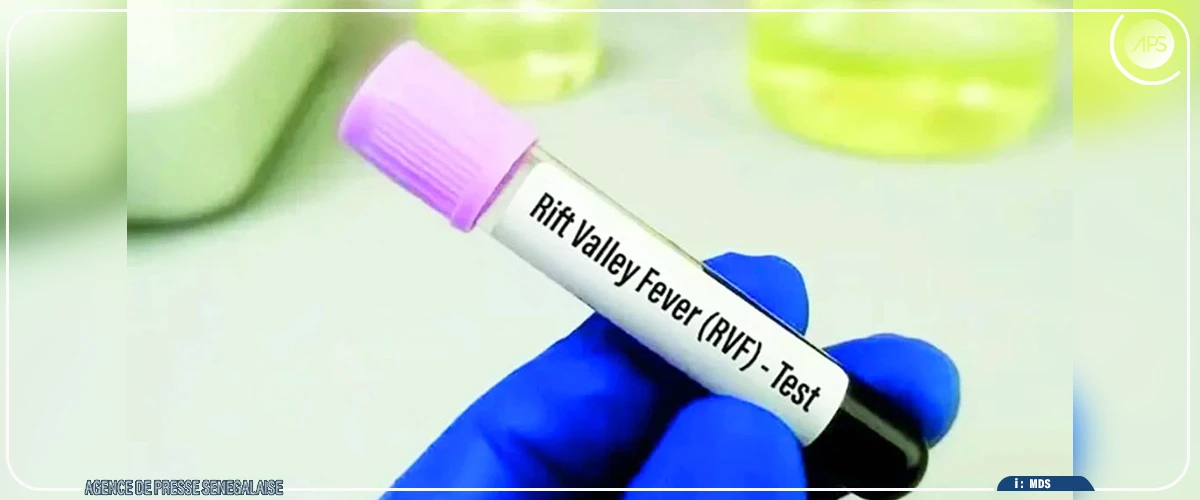 Fièvre de la vallée du Rift : 18 décès sur 273 cas confirmés à Saint-Louis