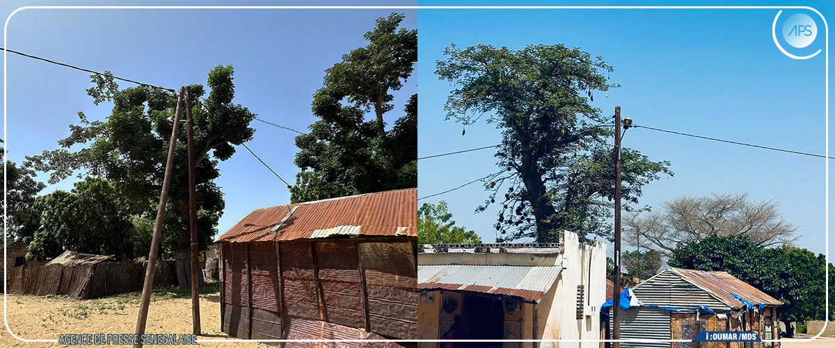 Diourbel : douze villages de la commune de Dankh Sène raccordés au réseau électrique