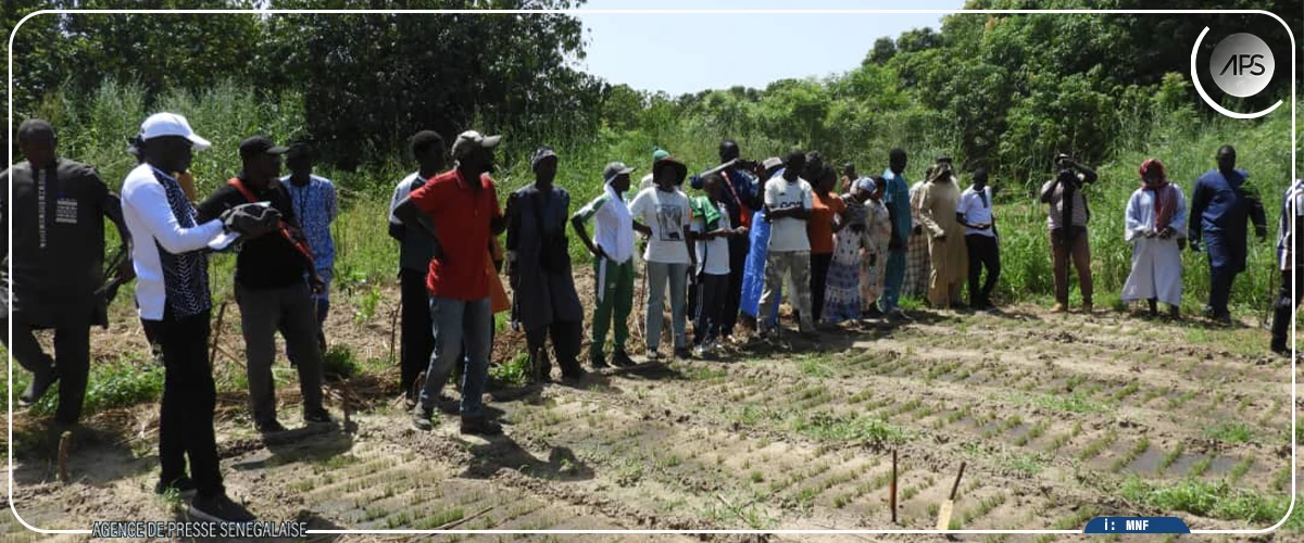 Sokone : des acteurs agricoles en visite au centre de formation de Keur Babou Diouf