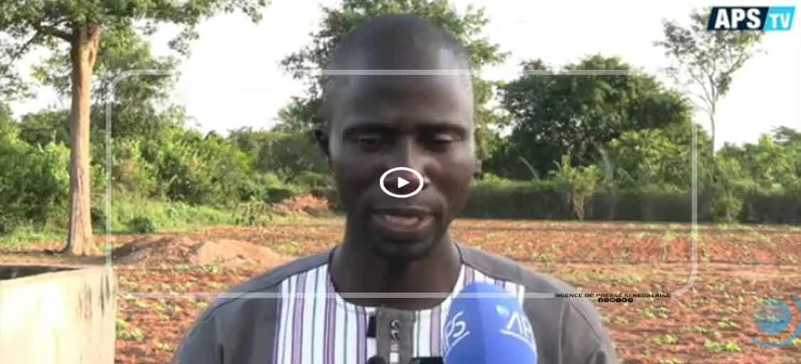 De la finance aux champs, parcours atypique d’un agripreneur de Niaguis