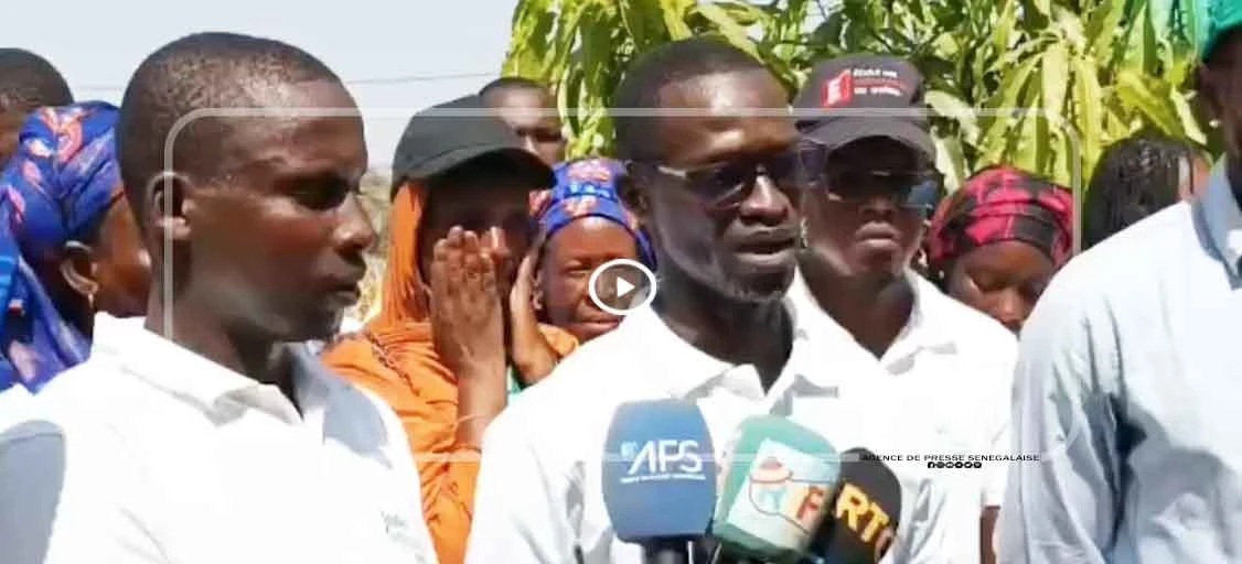 Podor : des jeunes misent sur l’économie verte pour un avenir durable