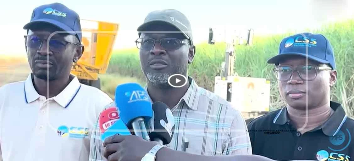 Richard-Toll : CSS vise une production de 140 000 tonnes de sucre (directeur)