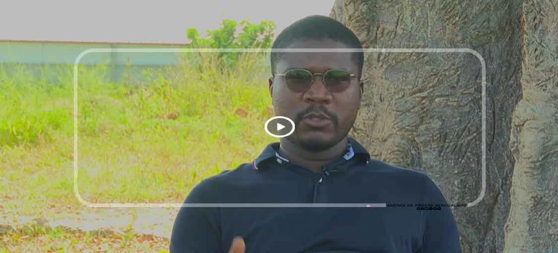 De l’ingénierie électrique à l’aviculture : l’incroyable pari de Serigne Amar