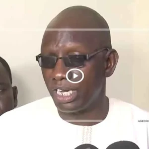 Mbacké : la plateforme Jotalli lance l’élaboration d’un plan stratégique de développement