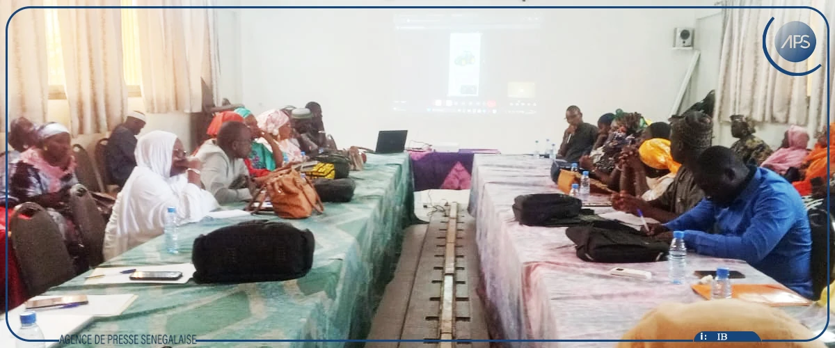 Casamance : les acteurs agricoles adoptent le numérique pour dynamiser leurs échanges