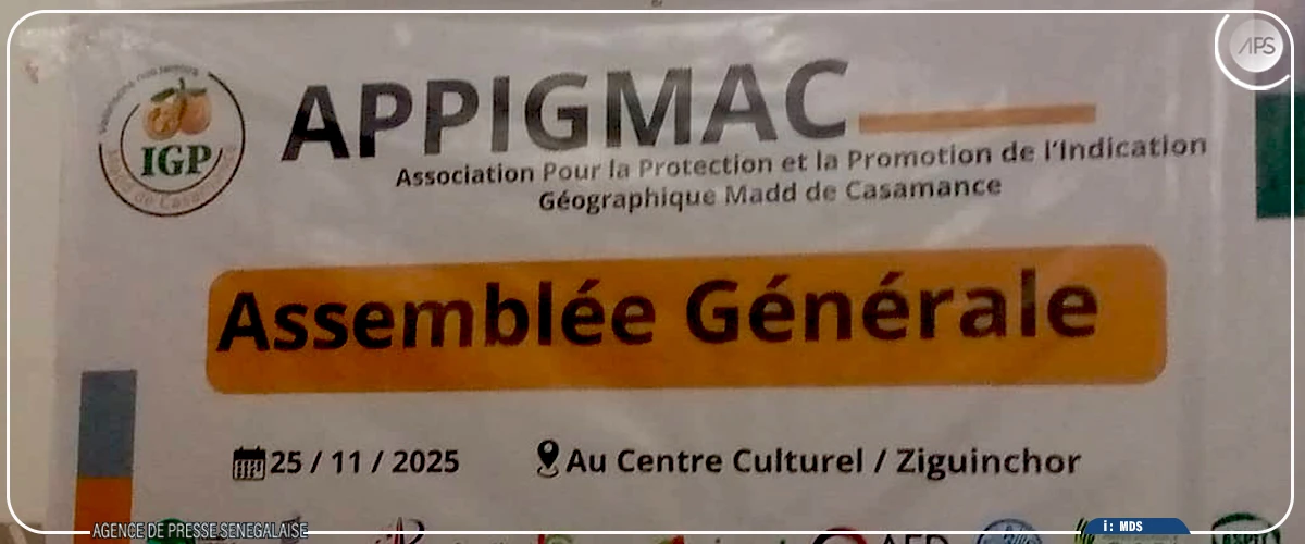 Madd en Casamance : les acteurs appelés à renforcer la production pour satisfaire la demande croissante