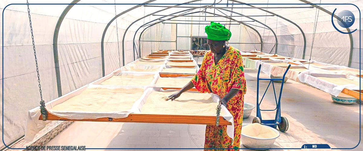 Kédougou au rythme des préparatifs de la Journée nationale du fonio