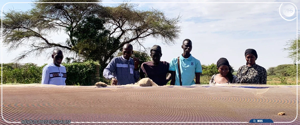 Aquaculture : le DG de l'ANA met en exergue les "énormes potentialités" de la région de Louga